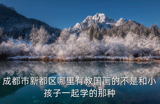 成都市新都區(qū)哪里有教國(guó)畫(huà)的不是和小孩子一起學(xué)的那種