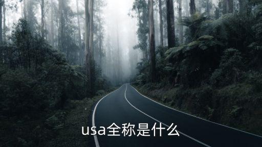 usa全稱是什么