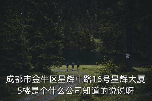 成都市金牛區(qū)星輝中路16號(hào)星輝大廈5樓是個(gè)什么公司知道的說(shuō)說(shuō)呀