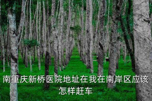 重慶市主城區政區地圖新橋醫院，重慶新橋醫院怎么走