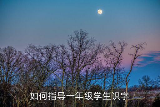 如何指導一年級學生識字