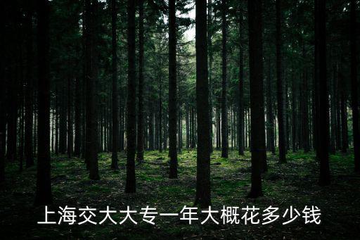 上海交大湖畔學(xué)費(fèi)多少，上海交大一年學(xué)費(fèi)多少包括吃住