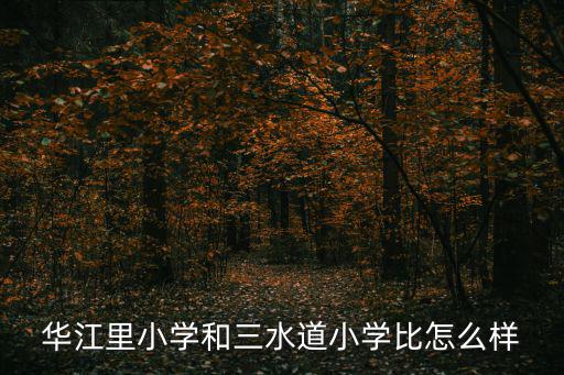 華江里小學(xué)和三水道小學(xué)比怎么樣