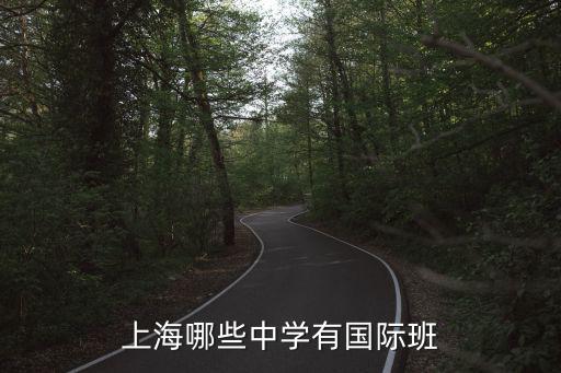 上海高中國際班怎么考，在上海考插班生怎么考有哪些學校可以考