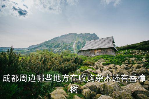 成都周邊哪些地方在收購雜木還有香樟樹