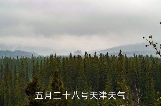 五月二十八號天津天氣