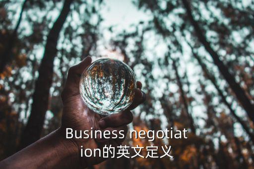 Business negotiation的英文定義