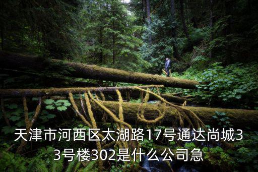天津市河西區太湖路17號通達尚城33號樓302是什么公司急