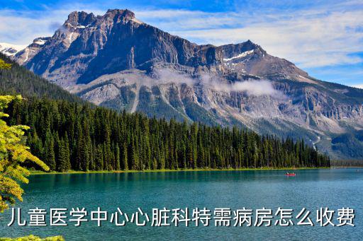 天津市兒童醫(yī)院病房?jī)r(jià)格，三甲醫(yī)院特需病房?jī)r(jià)格怎么算