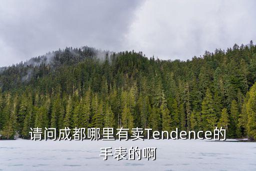 請(qǐng)問成都哪里有賣Tendence的手表的啊