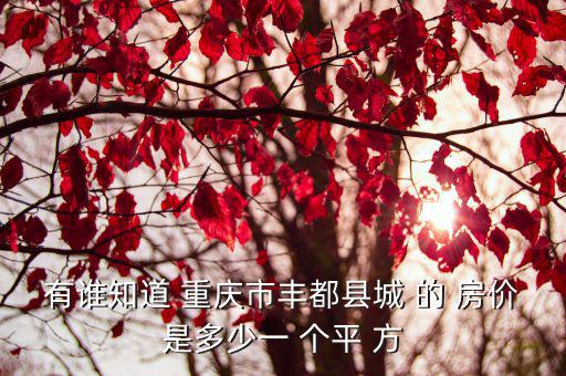有誰知道 重慶市豐都縣城 的 房價(jià)是多少一 個(gè)平 方