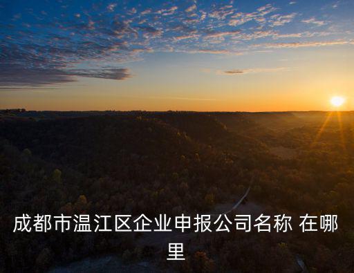成都市溫江區企業申報公司名稱 在哪里