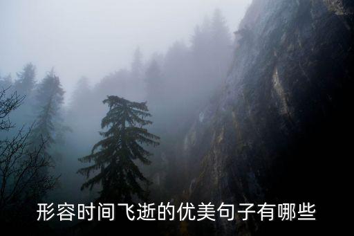 時光飛逝的句子，關(guān)于時間流逝的優(yōu)美句段