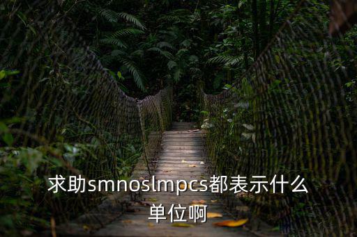 nos是什么單位，請問工程中的 no 和 nos 分別是什么單位