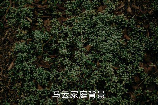 馬云背景，馬云家庭背景
