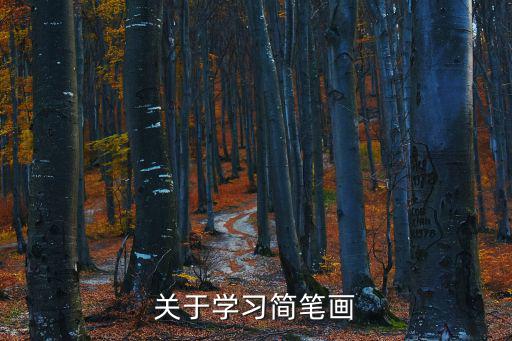 關于學習簡筆畫