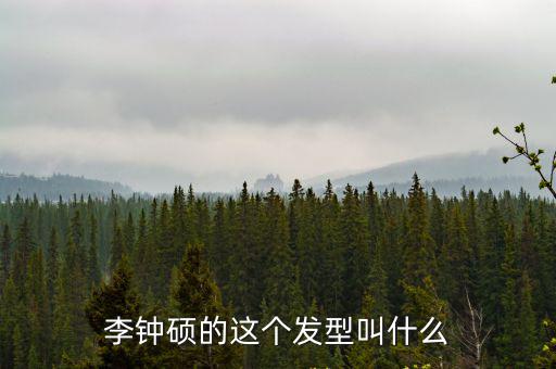 李鐘碩的這個(gè)發(fā)型叫什么