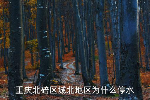 重慶北碚區城北地區為什么停水