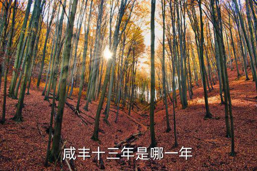 咸豐十三年是哪一年
