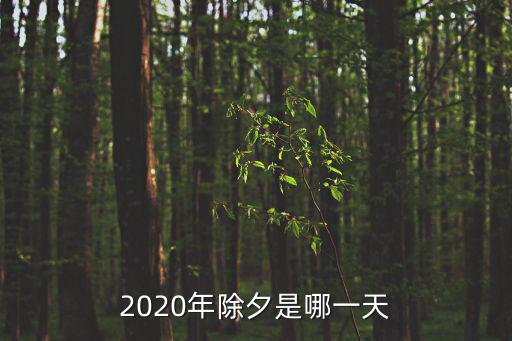 2020年除夕，2020年的除夕是哪天