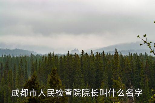 成都市人民檢查院院長叫什么名字