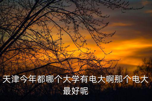 天津今年都哪個(gè)大學(xué)有電大啊那個(gè)電大最好呢