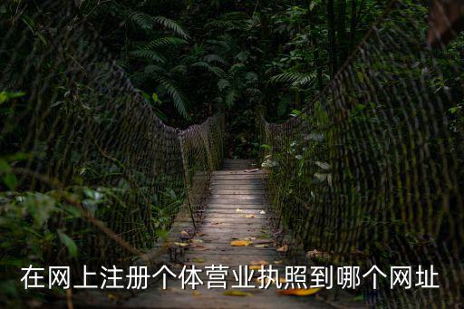 在網上注冊個體營業執照到哪個網址