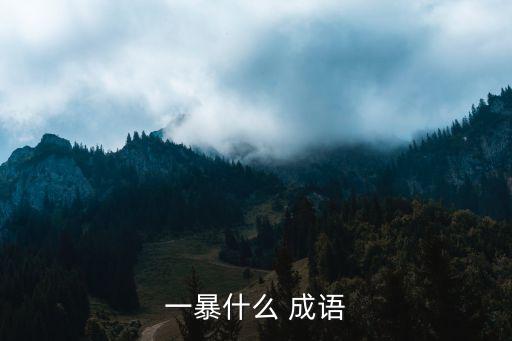 一暴什么 成語
