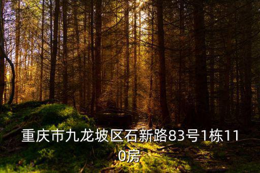 重慶市九龍坡區石新路83號1棟110房
