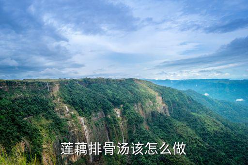 蓮藕排骨湯該怎么做