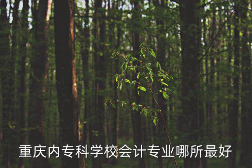 重慶內專科學校會計專業哪所最好