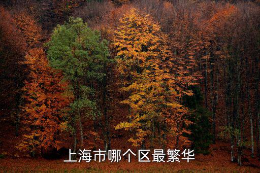 上海市哪個(gè)區(qū)最繁華