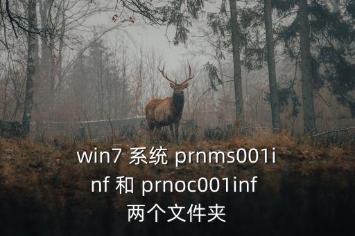 win7 系統 prnms001inf 和 prnoc001inf 兩個文件夾