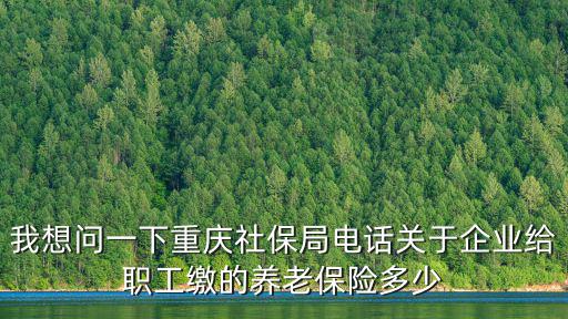 我想問一下重慶社保局電話關(guān)于企業(yè)給職工繳的養(yǎng)老保險多少