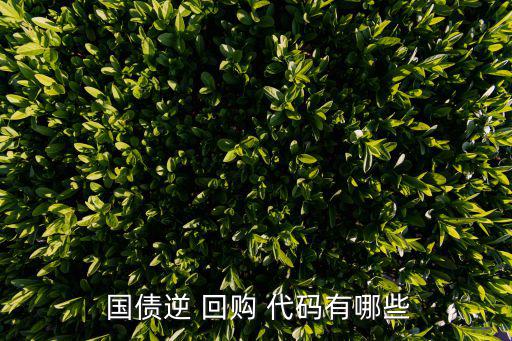 國債逆回購代碼,逆回購dede代碼-1318開頭