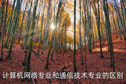 計算機網絡與通信，計算機網絡與通訊