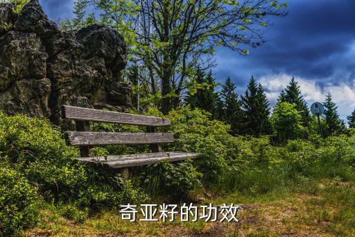  奇亞籽的功效