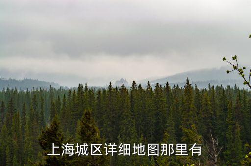 上海城區詳細地圖那里有