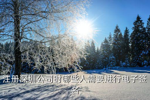 注冊深圳公司時哪些人需要進行電子簽名