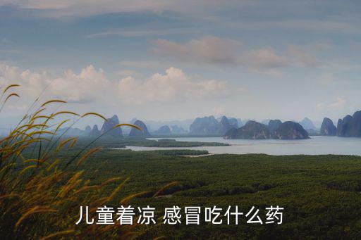 兒童著涼 感冒吃什么藥