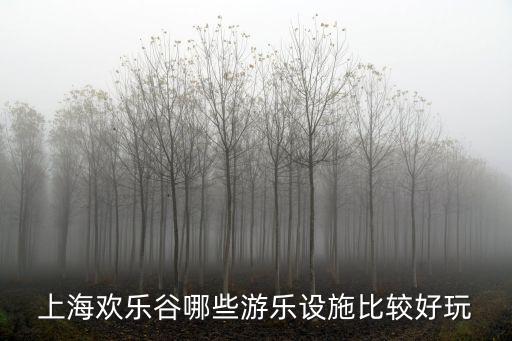 上海歡樂谷哪些游樂設(shè)施比較好玩