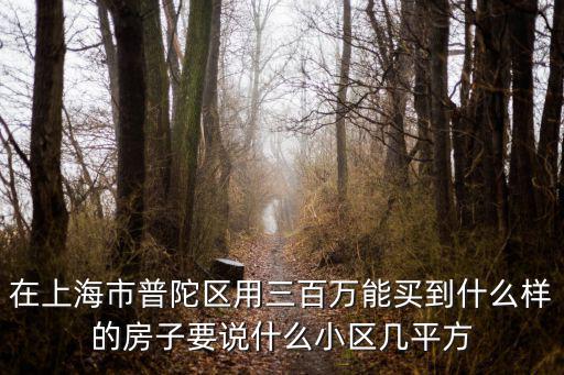 在上海市普陀區用三百萬能買到什么樣的房子要說什么小區幾平方