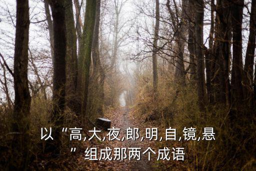 以“高,大,夜,郎,明,自,鏡,懸”組成那兩個成語