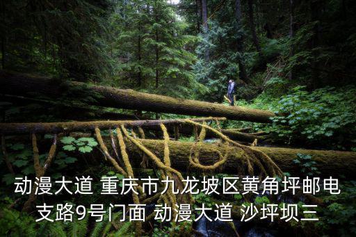 動漫大道 重慶市九龍坡區黃角坪郵電支路9號門面 動漫大道 沙坪壩三