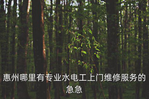 惠州哪里有專業(yè)水電工上門維修服務的急急