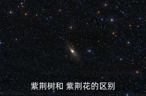 紫金花和紫荊花,紫荊花的來歷和種類