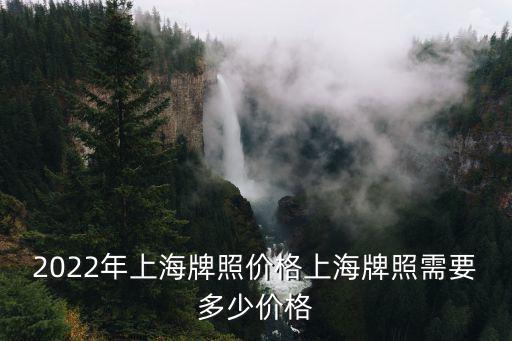 2022年上海牌照價(jià)格上海牌照需要多少價(jià)格