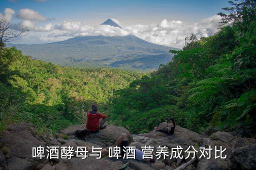  啤酒酵母與 啤酒 營養成分對比