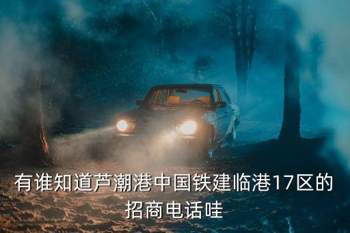 有誰知道蘆潮港中國(guó)鐵建臨港17區(qū)的招商電話哇