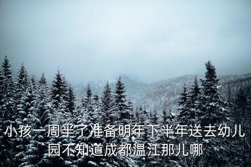 小孩一周半了準備明年下半年送去幼兒園不知道成都溫江那兒哪